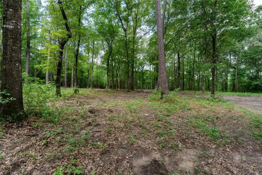 23619 Sharp Road, Montgomery, TX 77356 - #3