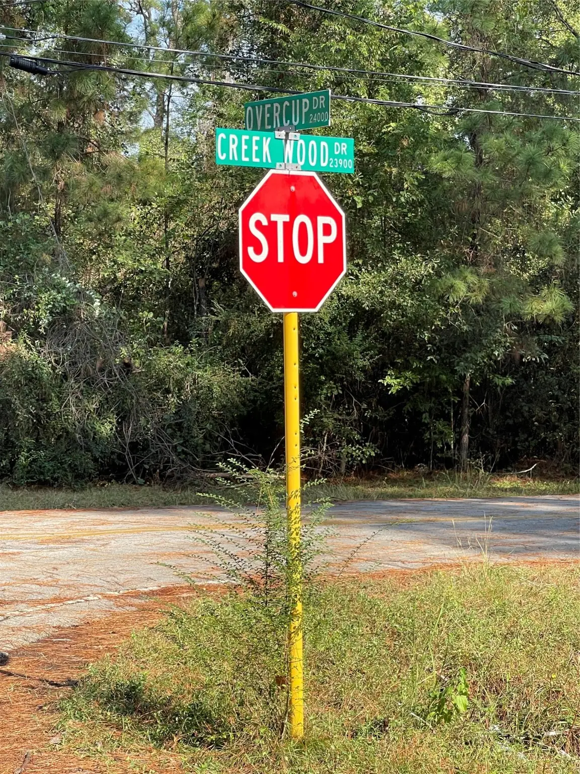 0 Overcup Drive, Spring, TX 77389 - Image #1