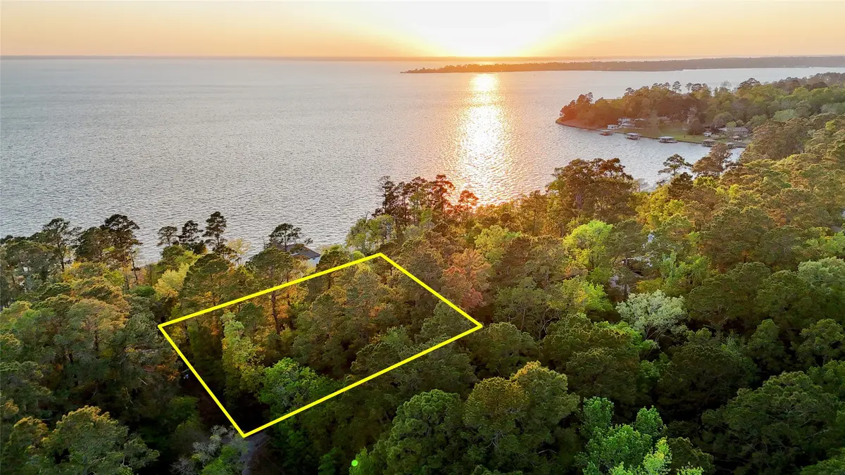 252 Forest Ridge Drive, Livingston, TX 77351 - #1