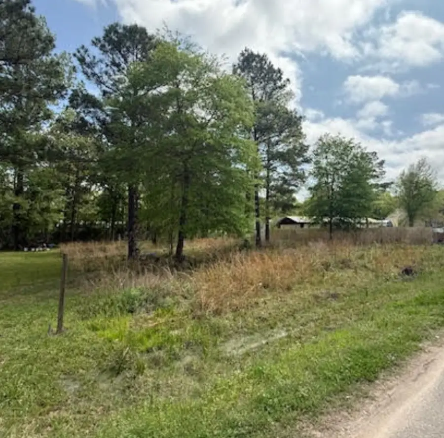 305 County Road 3419, Cleveland, TX 77327 - Image #2
