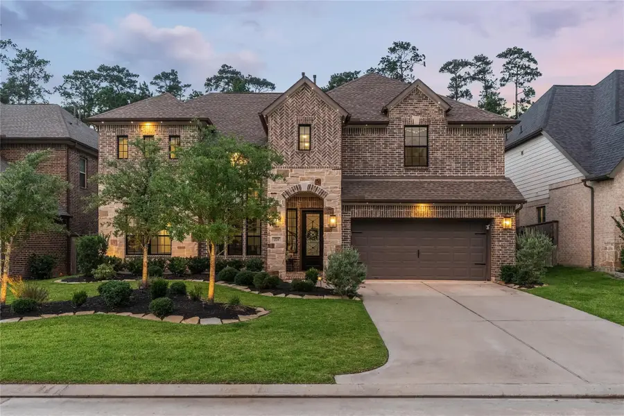 271 Bronze View Drive, Montgomery, TX 77316 - #2