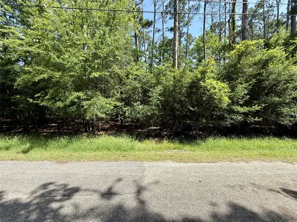 155 W Lake Drive, Houston, TX 77336