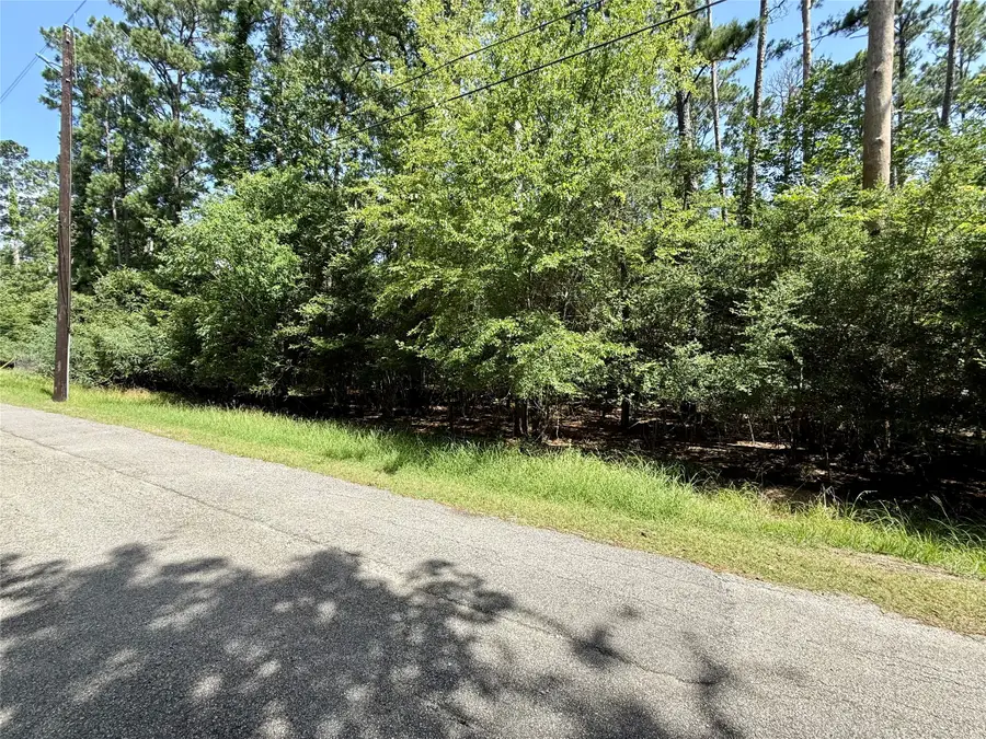 155 W Lake Drive, Huffman, TX 77336 - #3