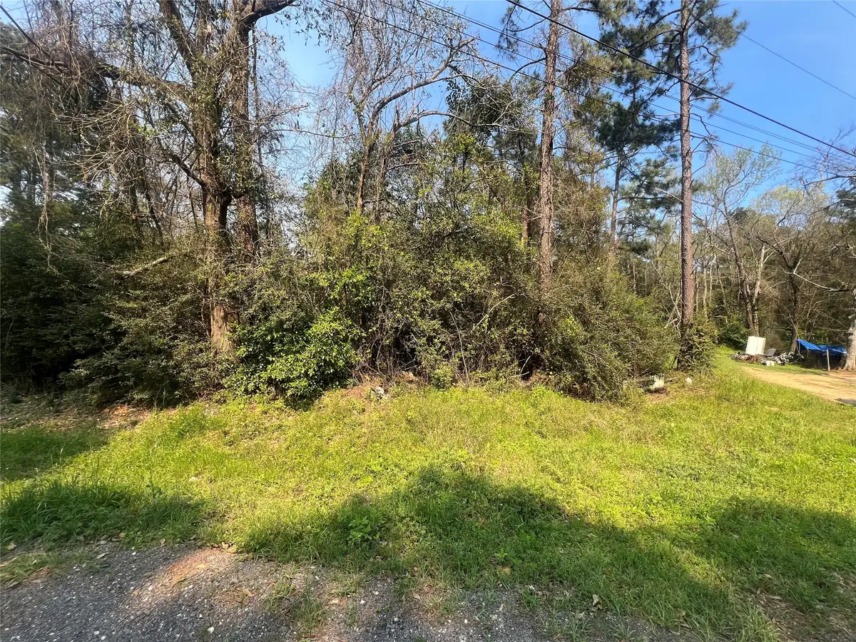 TBD Red Fox Lane, Coldspring, TX 77331 - #1