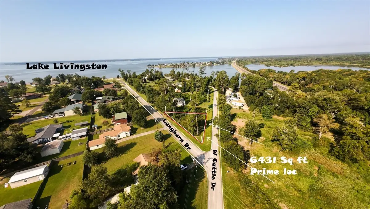 186 N Cattle Drive, Onalaska, TX 77360 - #1