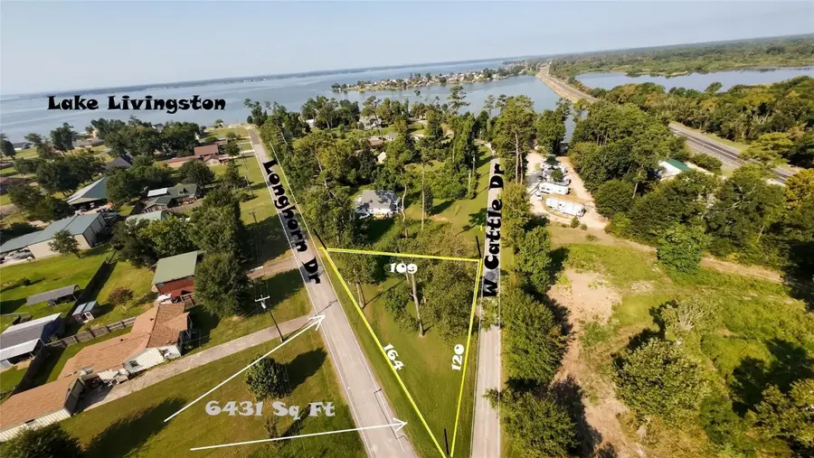 186 N Cattle Drive, Onalaska, TX 77360 - #2