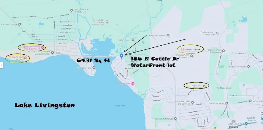 186 N Cattle Drive, Onalaska, TX 77360 - #3