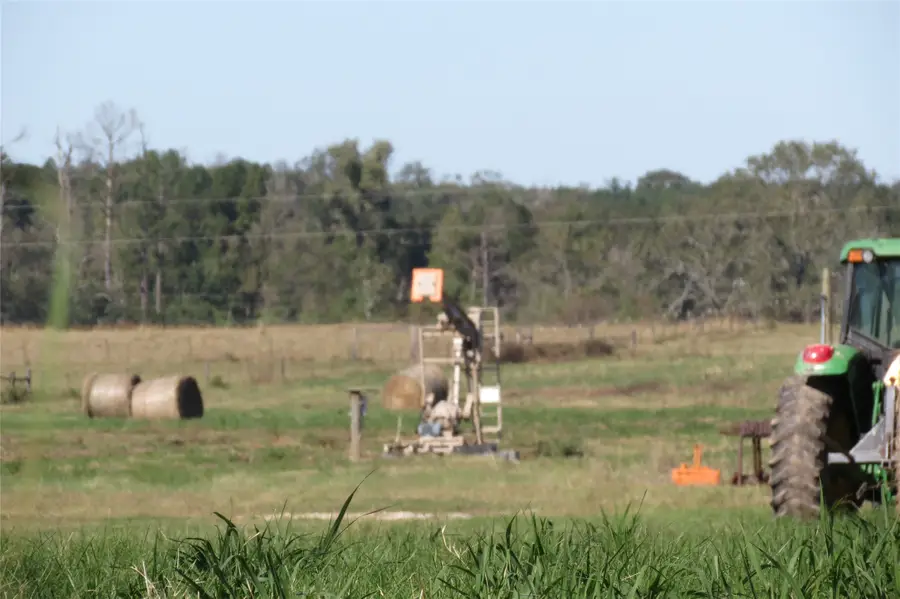 343 Evie Davidson Road, Apple Springs, TX 75926 - Image #3