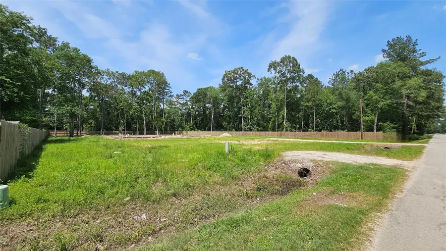 369 County Road 356, New Caney, TX 77357 - #2