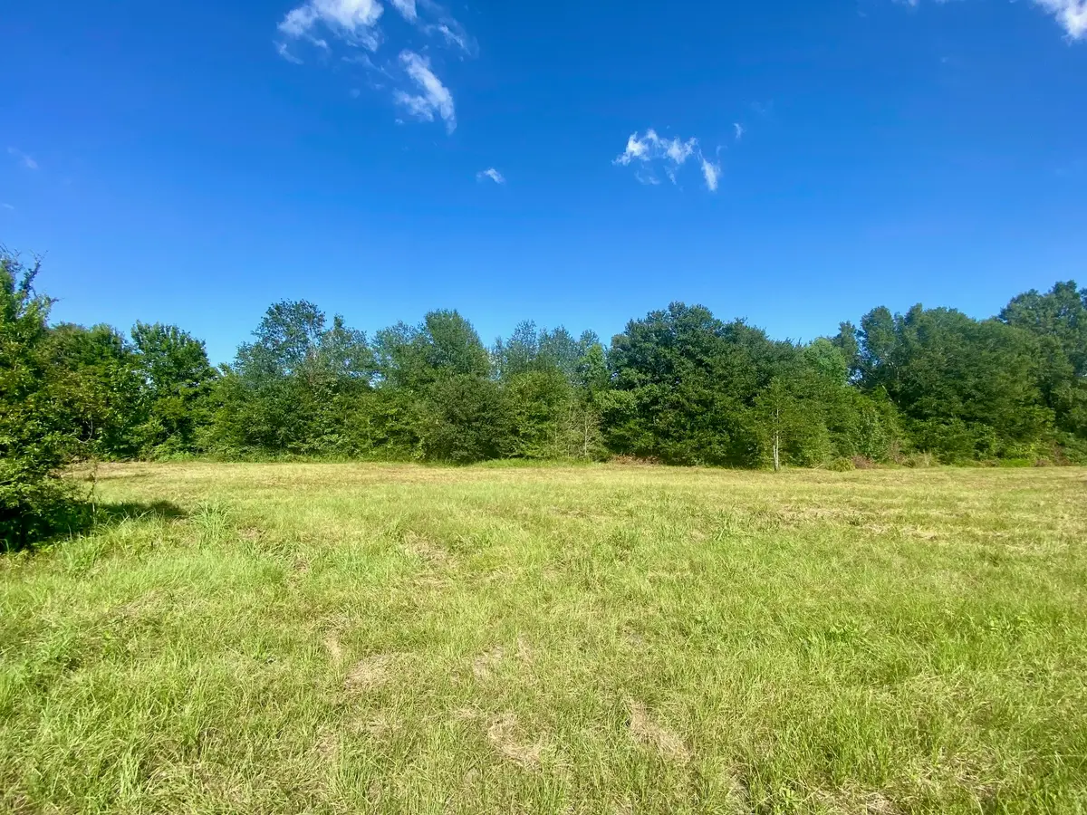 LOT #135 Jb Mcduff Drive, Crockett, TX 75835 - Image #1