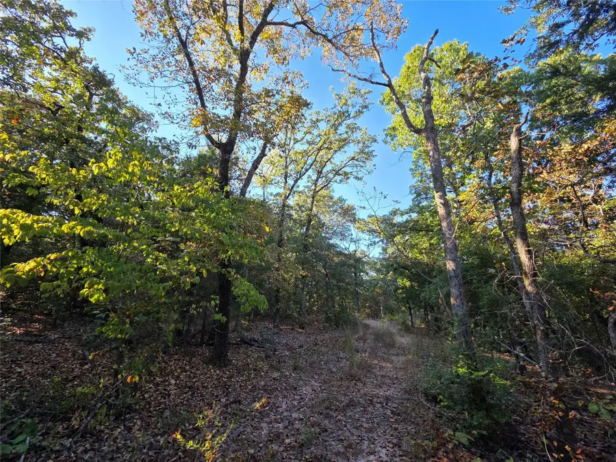 Lot 466 Cr-4710, Larue, TX 75770 - Image #3