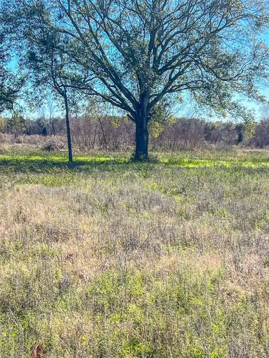 16839 Grant Road, Cypress, TX 77429 - Image #3