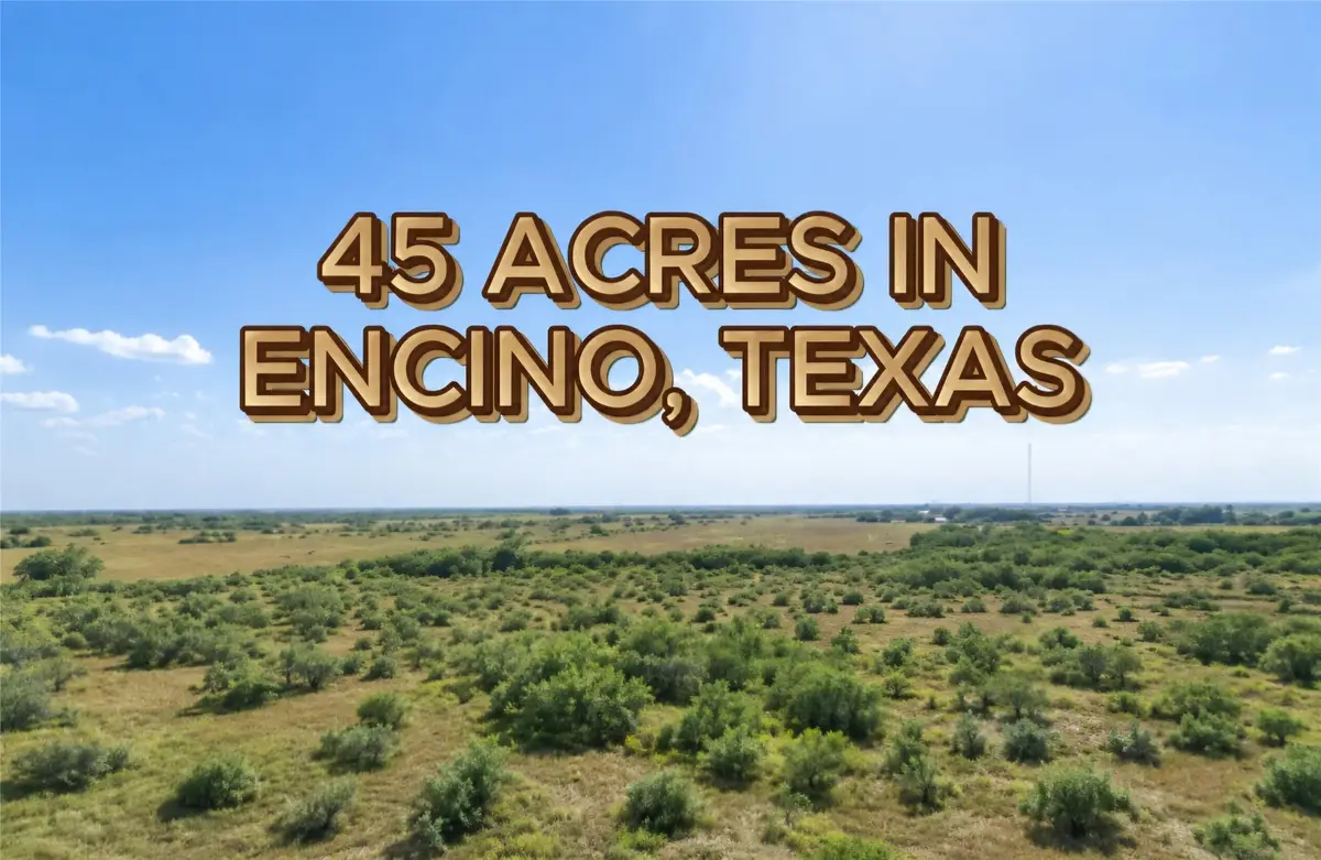 7307 & 7261 S Highway 281, Encino, TX 78353 - #1