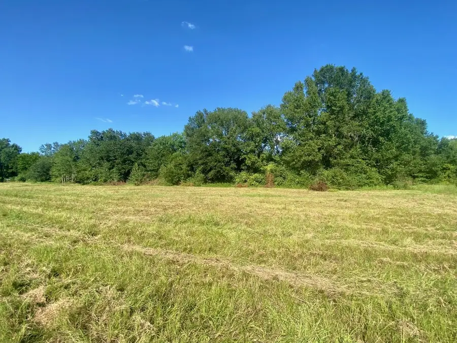 Lot #134 Jb Mcduff Drive, Crockett, TX 75835 - #2