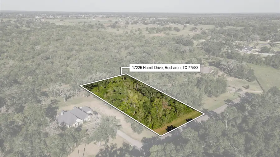 17226 Hamill Drive, Rosharon, TX 77583 - #2