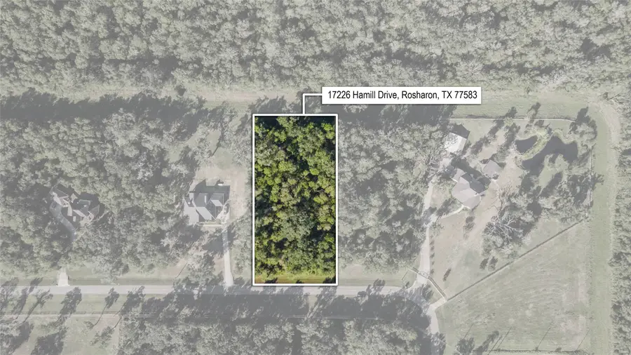 17226 Hamill Drive, Rosharon, TX 77583 - #3