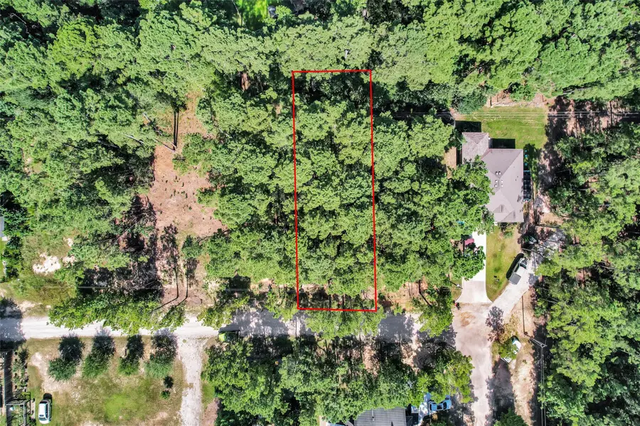 1503 Cheyenne Loop, Montgomery, TX 77316 - #3