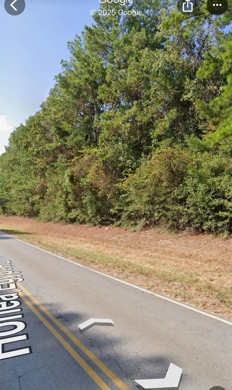 1411 Honea Egypt, Magnolia, TX 77354 - Image #1