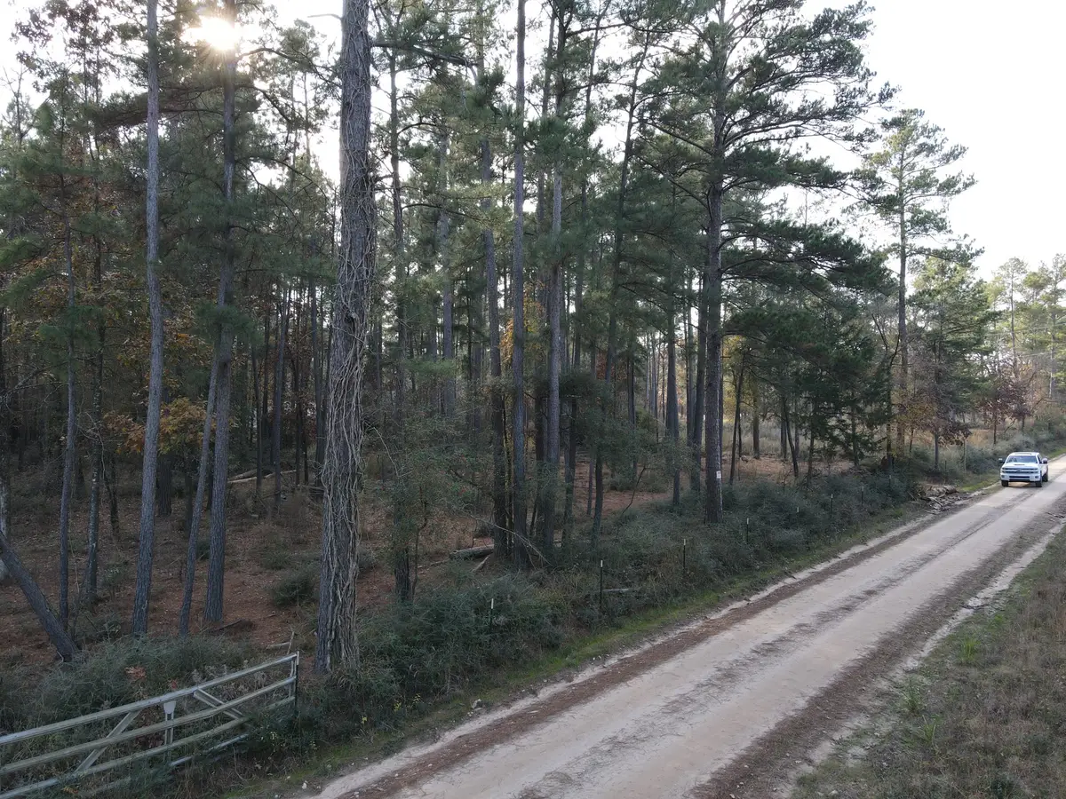 LOT 3 County Road 4025, Lovelady, TX 75851 - #1
