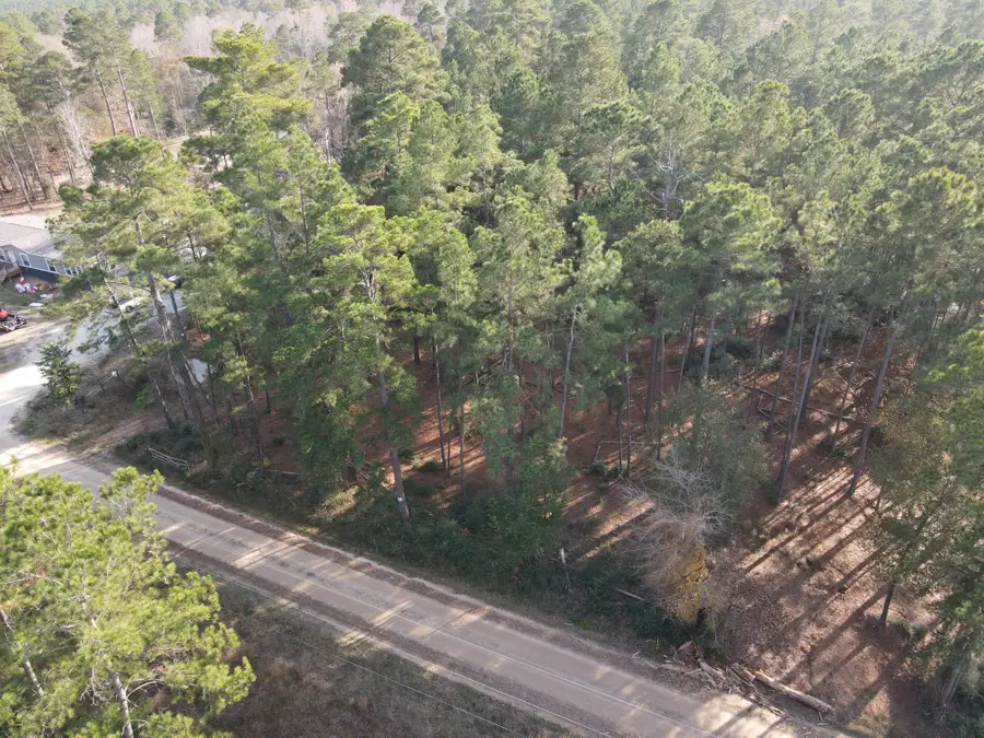 LOT 3 County Road 4025, Lovelady, TX 75851 - #2