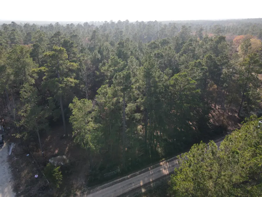 LOT 3 County Road 4025, Lovelady, TX 75851 - #3