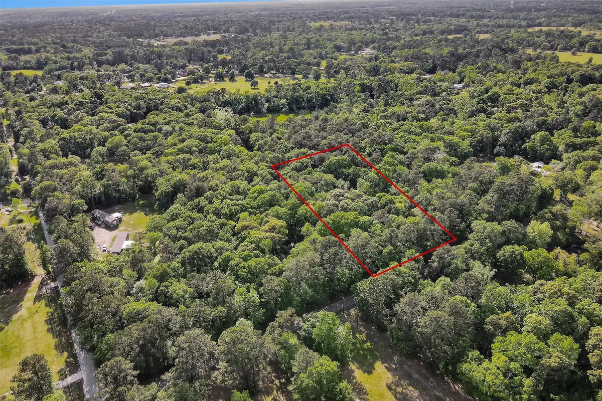 15686 Ben Wiggins, Conroe, TX 77303 - #1