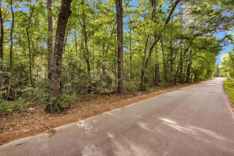 15686 Ben Wiggins, Conroe, TX 77303 - #2