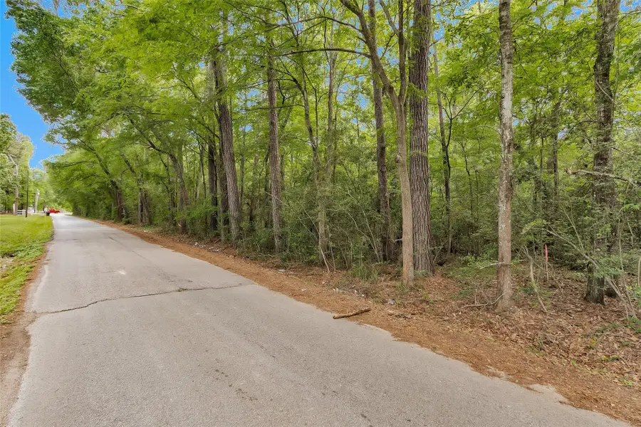 15686 Ben Wiggins, Conroe, TX 77303 - #3