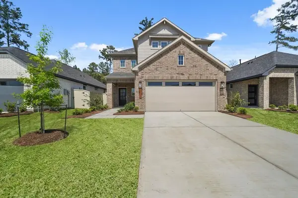 15218 Black Scoter Court, Magnolia, TX 77354