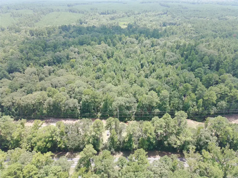 0 E State Highway 294, Grapeland, TX 75844 - #2