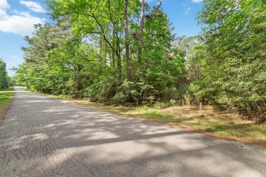 1070 Apache Dr, Conroe, TX 77316 - #3