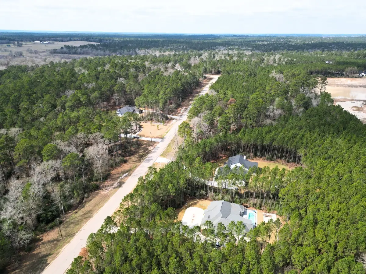 0 Larkspur Lane, New Waverly, TX 77358 - #1