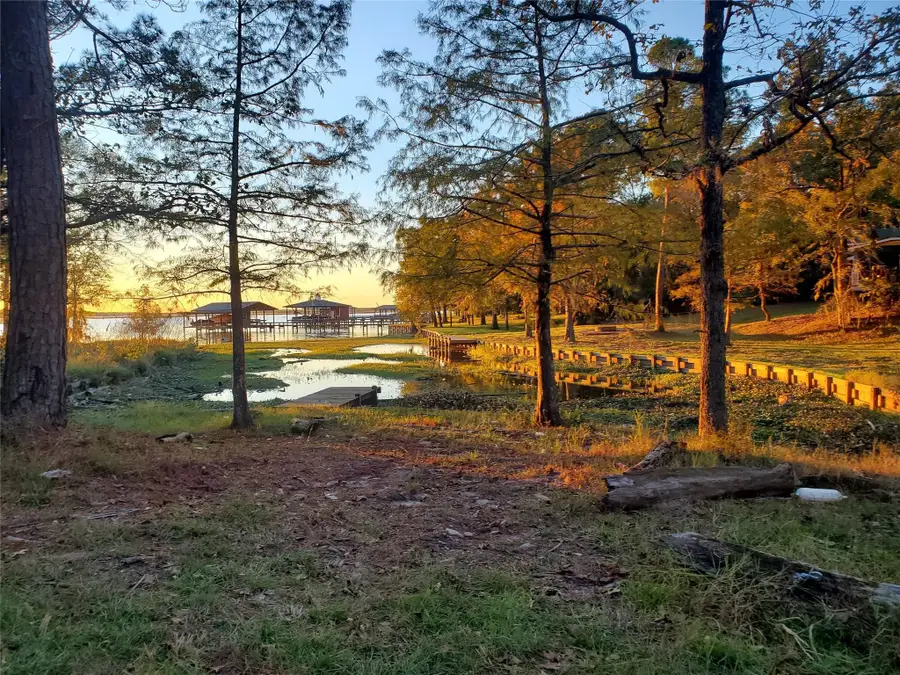 400 Pine Forest Acres, Trinity, TX 75862 - #2