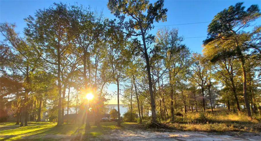 400 Pine Forest Acres, Trinity, TX 75862 - #3