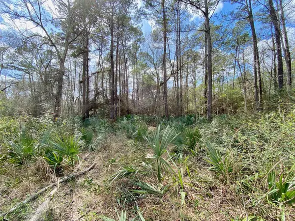 0 Scamper Lane, Crosby, TX 77532