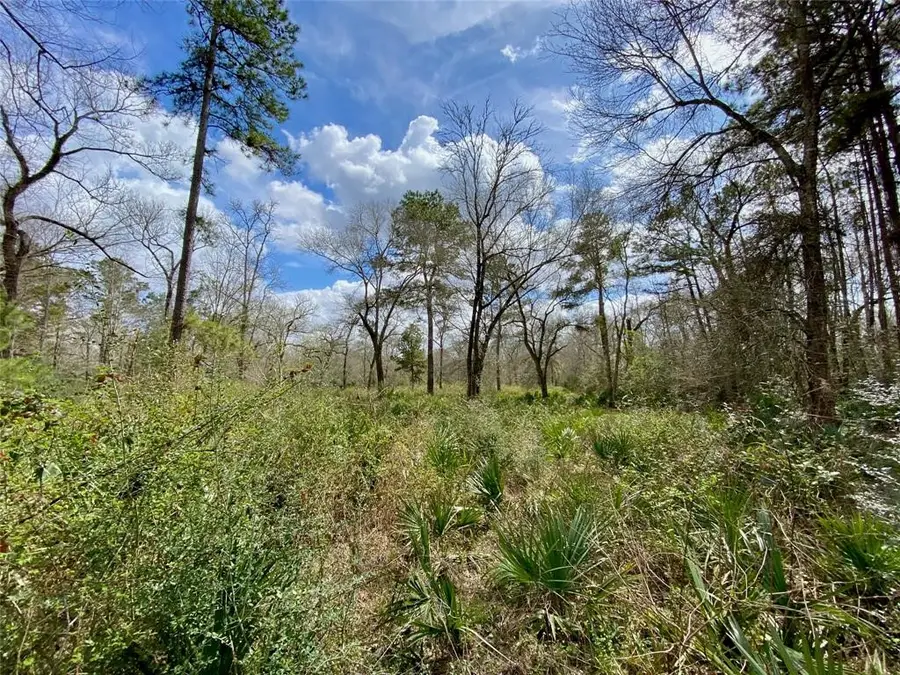 0 Scamper Lane, Crosby, TX 77532 - Image #3