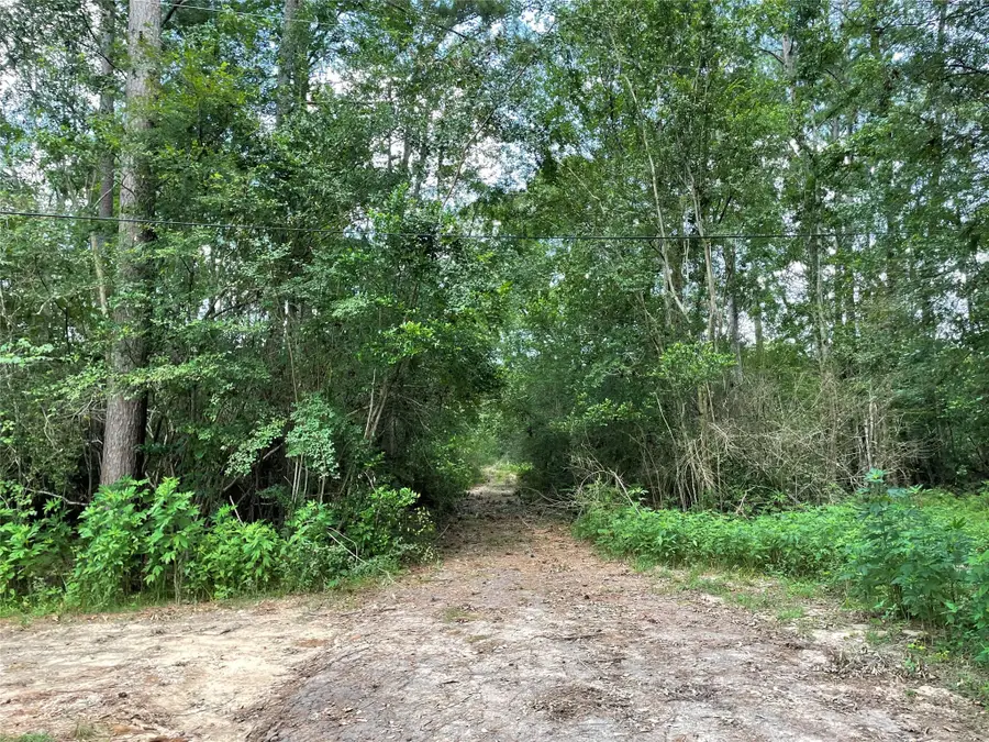 tbd Greenfield Drive, Montgomery, TX 77303 - Image #2