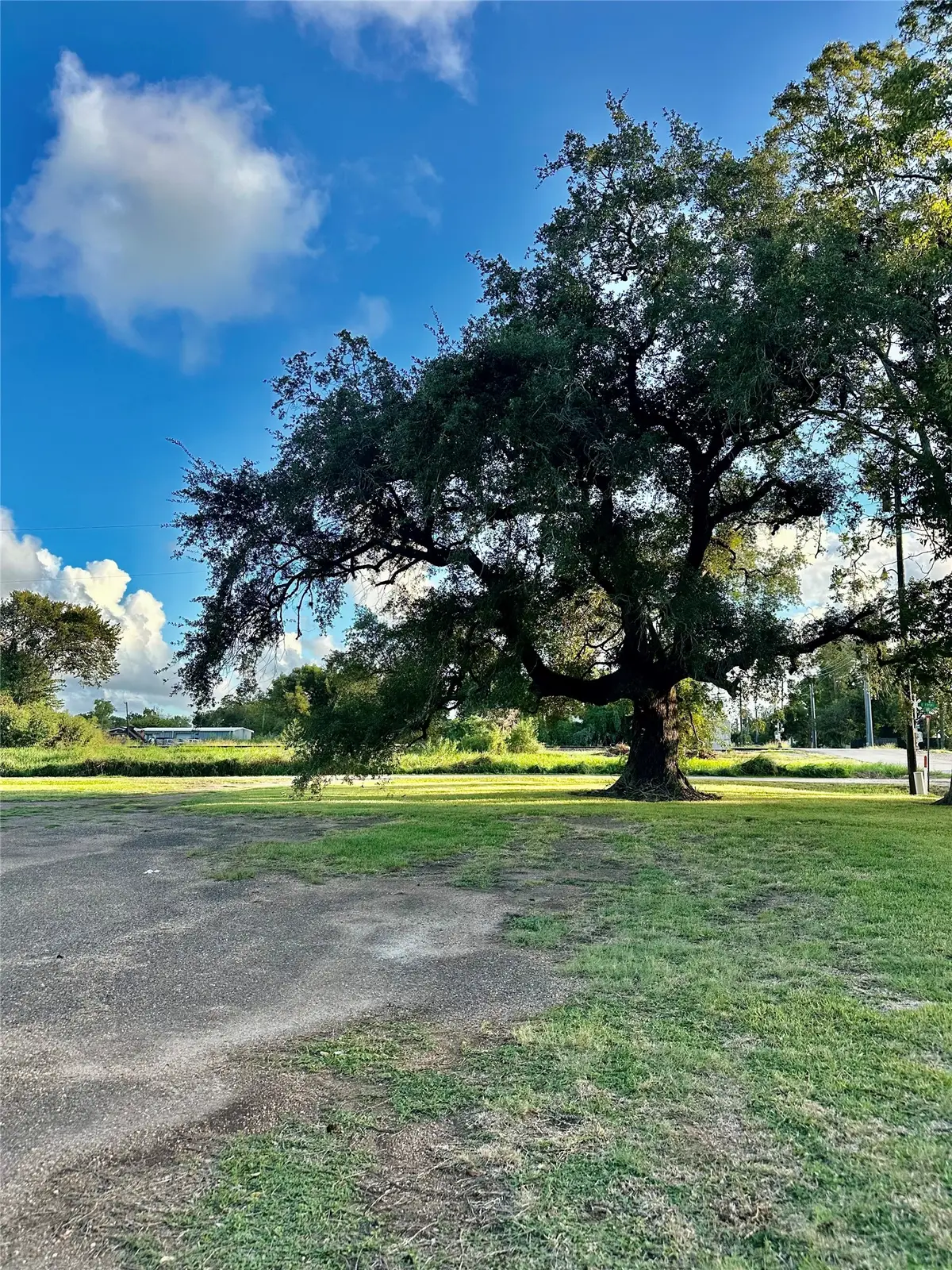 101 N Market Street, Brazoria, TX 77422 - #1