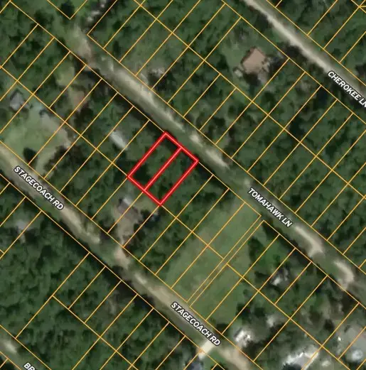 115 Tomahawk Trail, Livingston, TX 77351