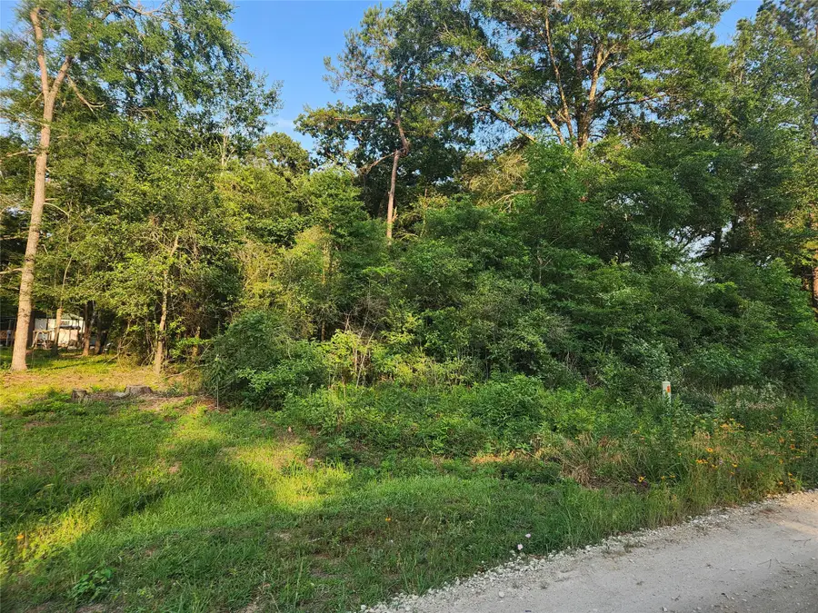 Lot 16 Weeping Willow Lane, Plantersville, TX 77363 - Image #2