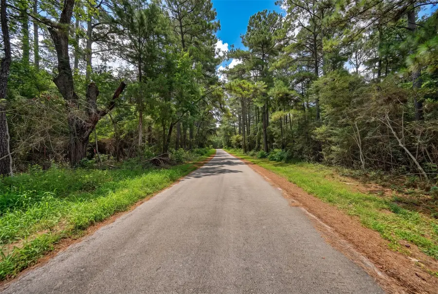 Lot Two, 3340 County Road 325, Navasota, TX 77868 - #3