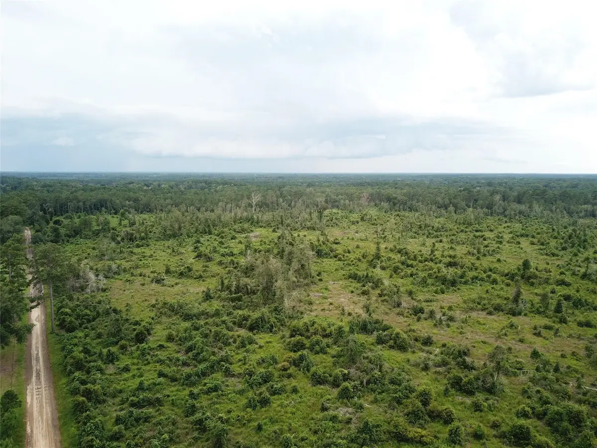 TBD County Road 3089, Kirbyville, TX 75956 - Image #1