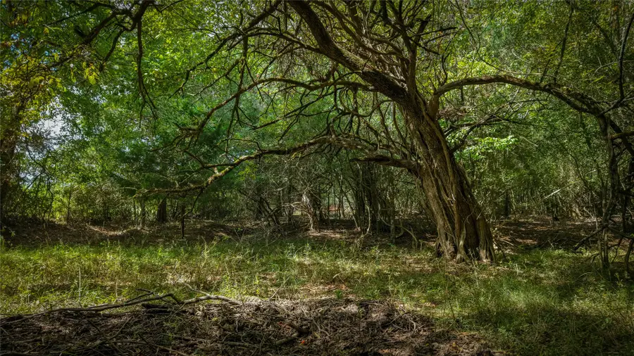 Tract 1 Tbd Mensik Rd, Bryan, TX 77808 - #2