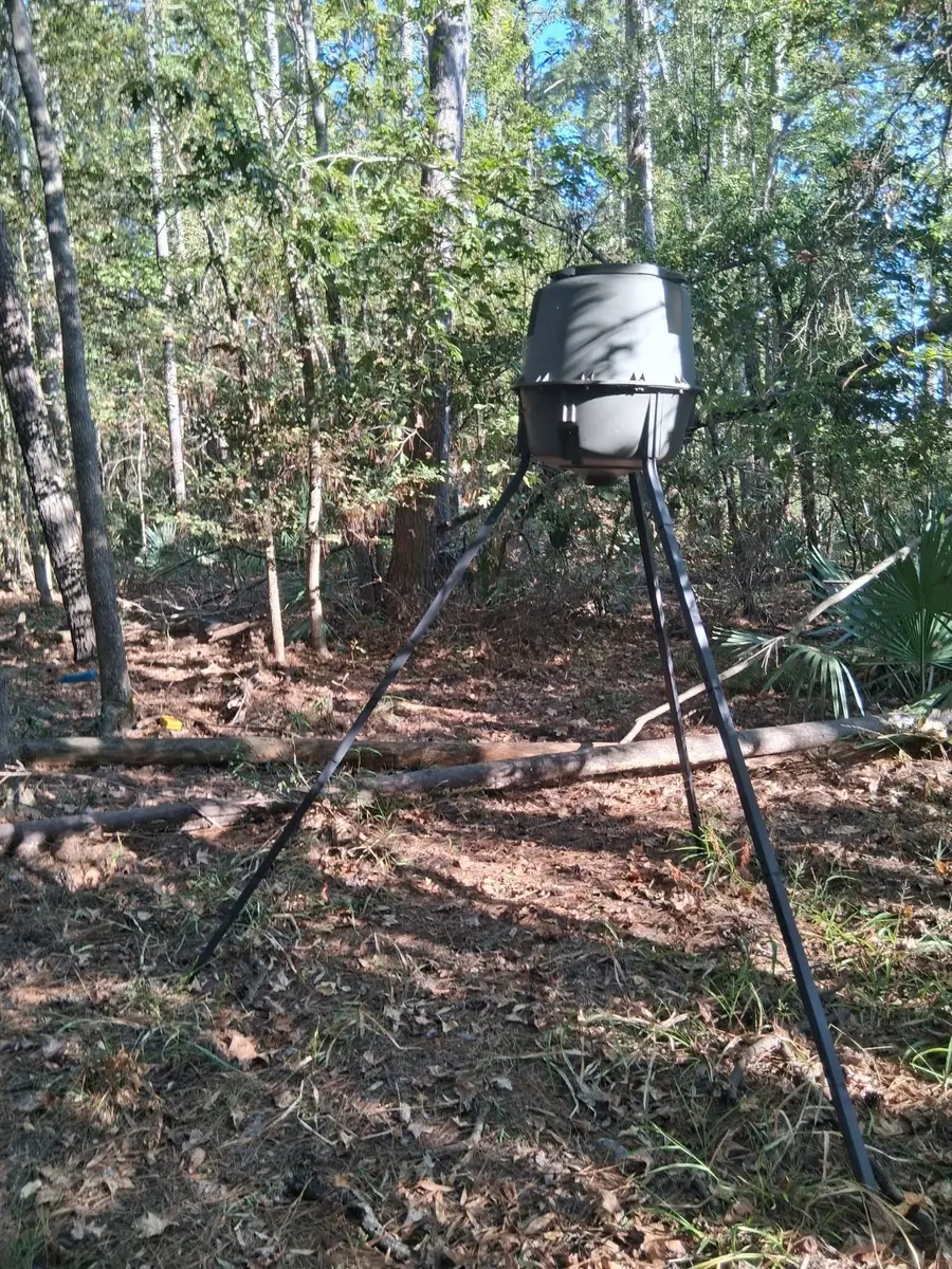 TBD Palmetto, Magnolia, TX 77356 - Image #2