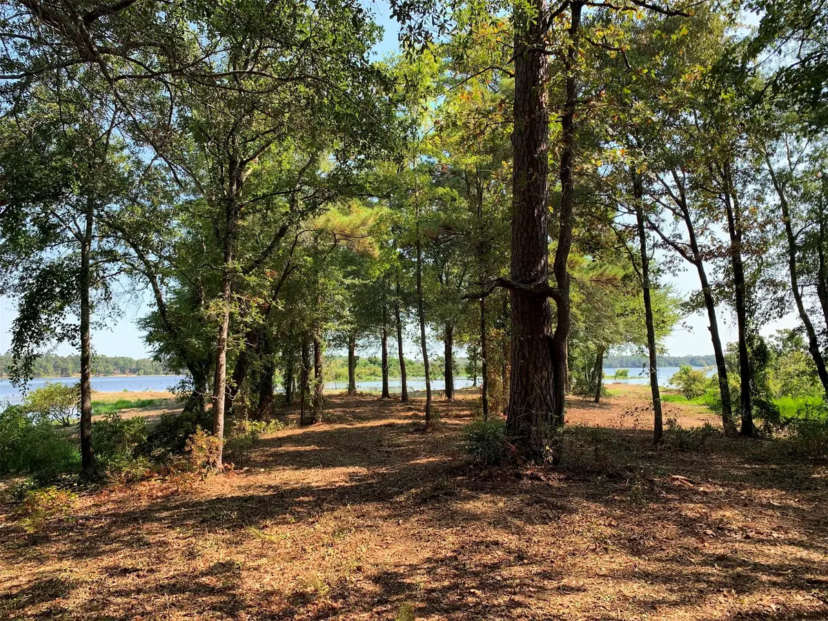 3196 Shadow Pine Lot 46 Drive, Larue, TX 75770 - Image #1