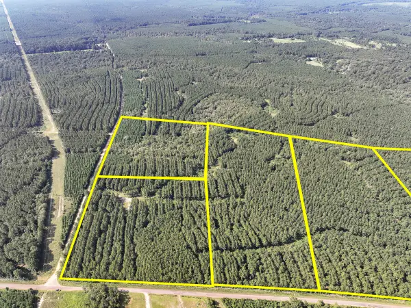 4 County Road 1325, Warren, TX 77664