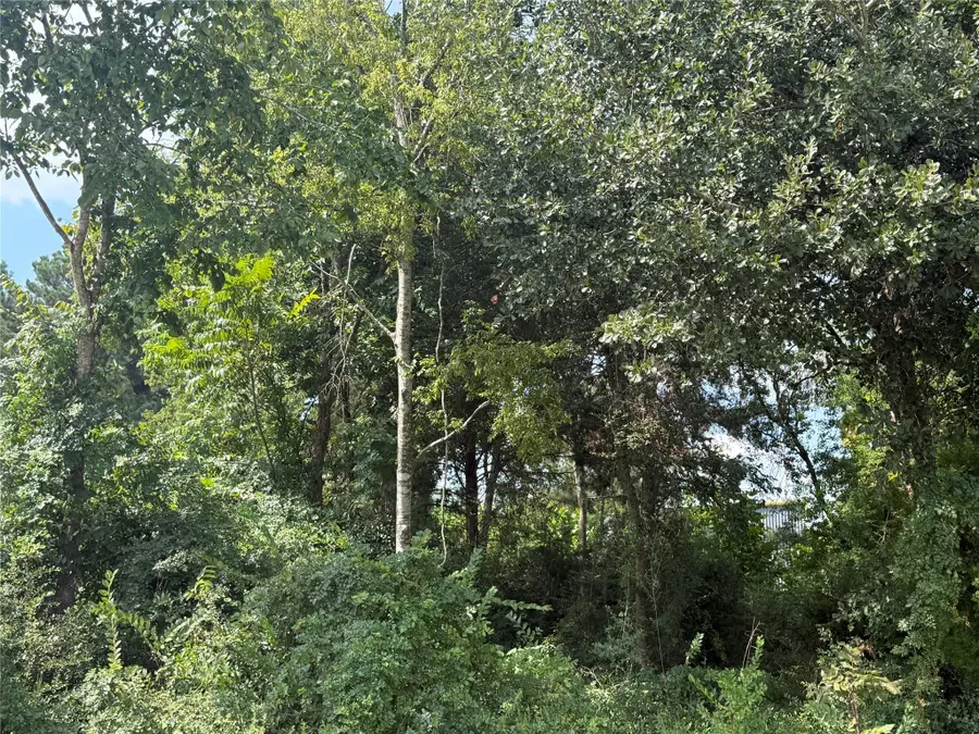 0 Mechanic Road, Tomball, TX 77375 - Image #2