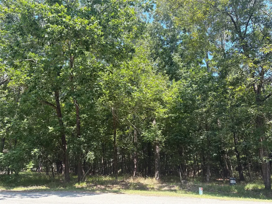 11 & 15 S Pine Harbour Drive, Coldspring, TX 77331 - Image #3