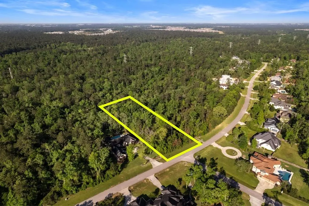 27350 Shady Hills Landing Lane, Spring, TX 77386 - #1