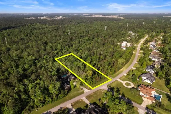 27350 Shady Hills Landing Lane, Spring, TX 77386